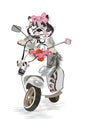 Beatiful fashion cat on the scooter with a camera, decorated with flowers.